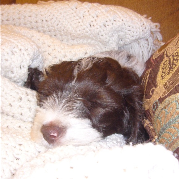 Meet your Posher, Duane - Picture 9 of 12